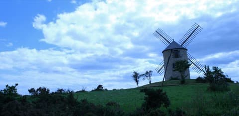 Élagueur Saint-Jacut-les-Pins