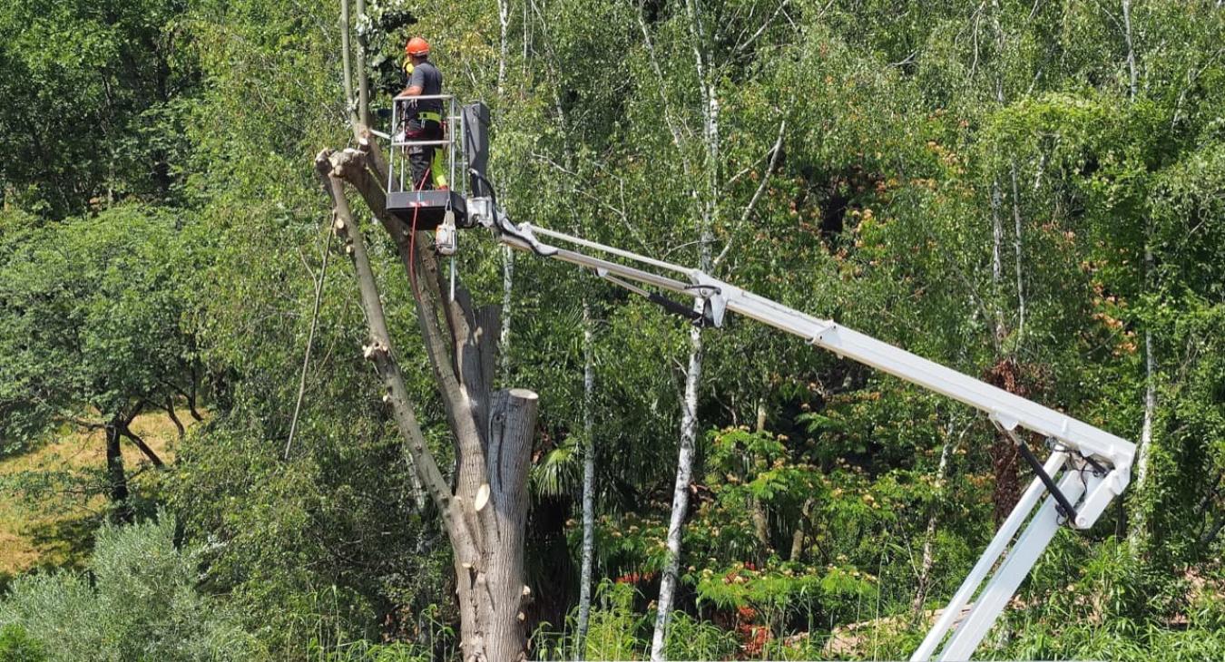 Élagage & Étêtage 56 Morbihan